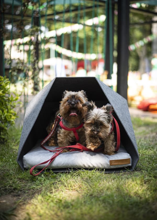 PetPocket Ecological Dog Kennel vaaleanharmaa ja värit