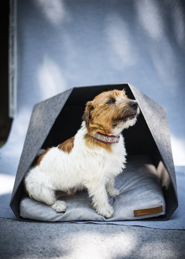 PetPocket Ecological Dog Kennel vaaleanharmaa ja värit