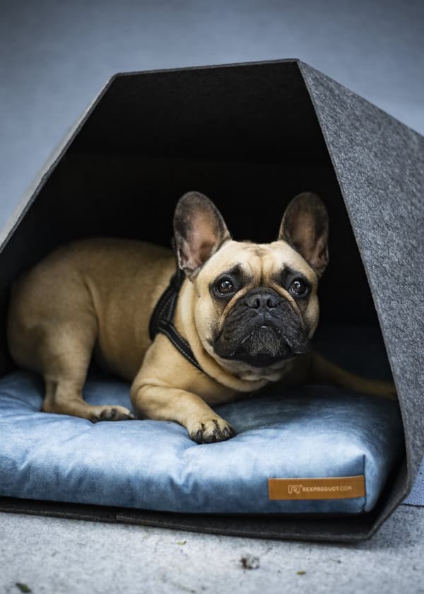 PetPocket Ecological Dog Kennel vaaleanharmaa ja värit