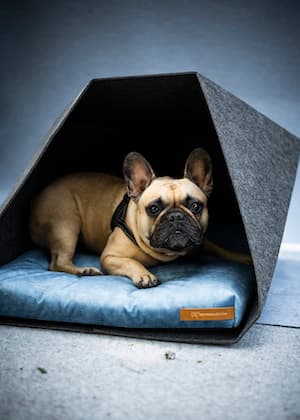 PetPocket Ecological Dog Kennel vaaleanharmaa ja värit