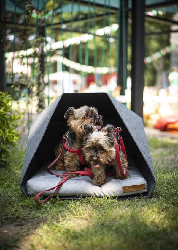 PetPocket Ecological Dog Kennel vaaleanharmaa ja värit
