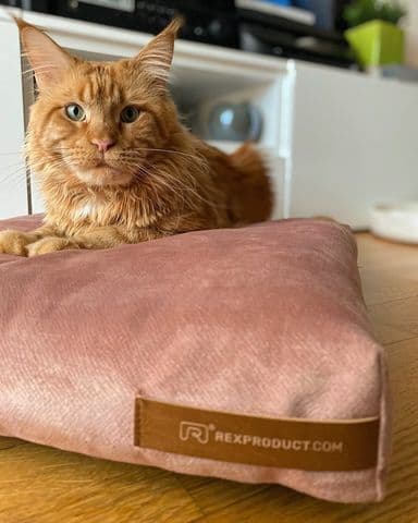Soft sovepude 11 farver, 5 størrelser S-XXL
