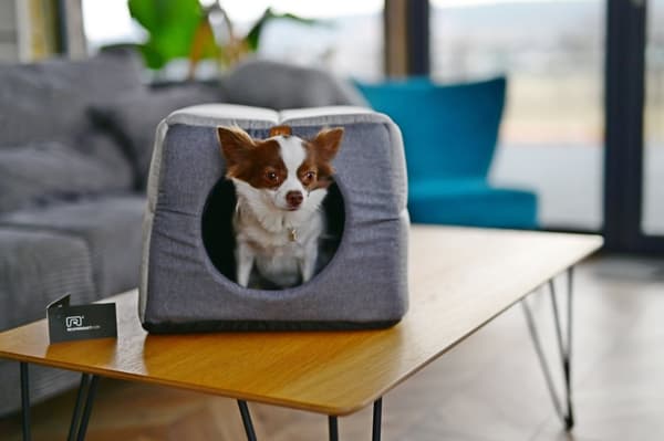 Koiran/kissan sänky tai kennel, 2 in-one-lemmikkisänky, koko M- XXL, värit