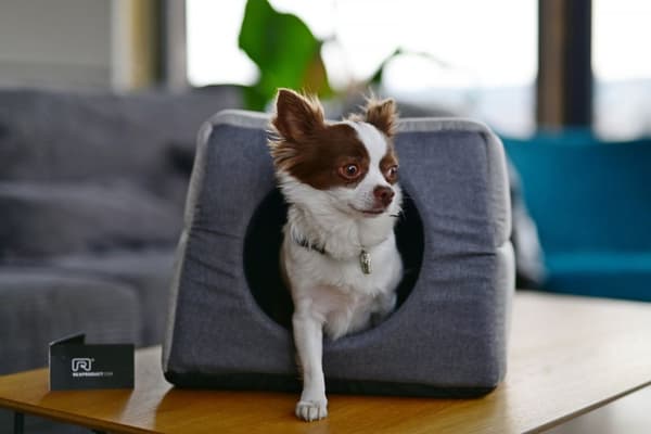 Hunde/katteseng eller kennel, 2 i-en kæledyrsseng, størrelse M- XXL, farver