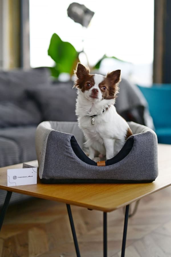 Hunde/katteseng eller kennel, 2 i-en kæledyrsseng, størrelse M- XXL, farver