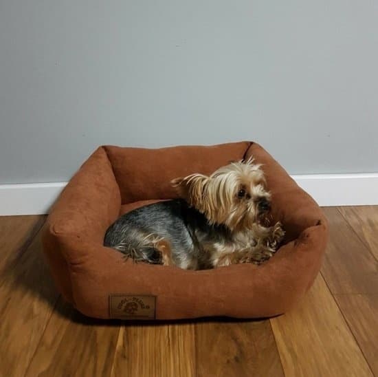 Hundeseng - S - lille hund - 50 x 40 cm - brun - hundeseng
