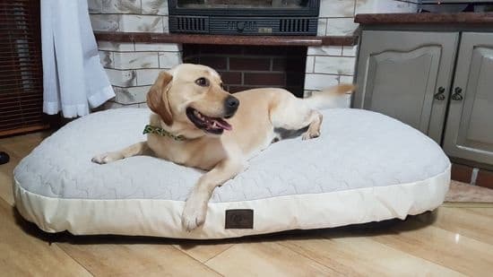 XXL Hundeseng af kunstlæder - hundepude hundesofa kattebed hundekurv - vandtæt 130 X 80 cm