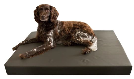 HD Dog Bed - Ortopedinen koiran sänky. (HD=Lonkan dysplasia)