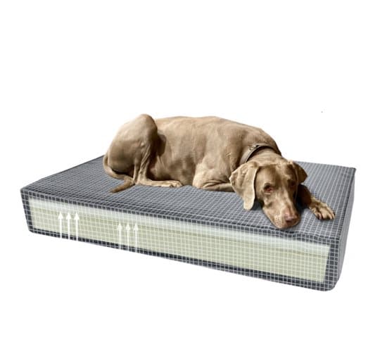 Madison Orthopedic Pillow - Vidunderligt behagelig til hunde med ledproblemer