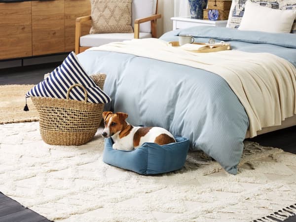 Dyreseng Blå Polyester 50 x 35 cm Fløyel Rektangulær Hund Katt Myk Kosepute Stue Soverom Hundeseng