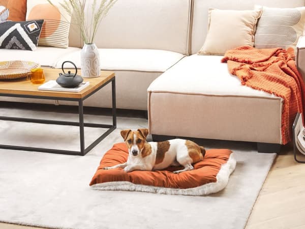 Hundeseng Fløyel Dyreseng Polyester 70 x 55 cm Moderne design stor pute for hunder og dyr