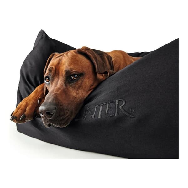 Hund Sofa Hunter Gent Sort Polyester black (60 x 45 cm)