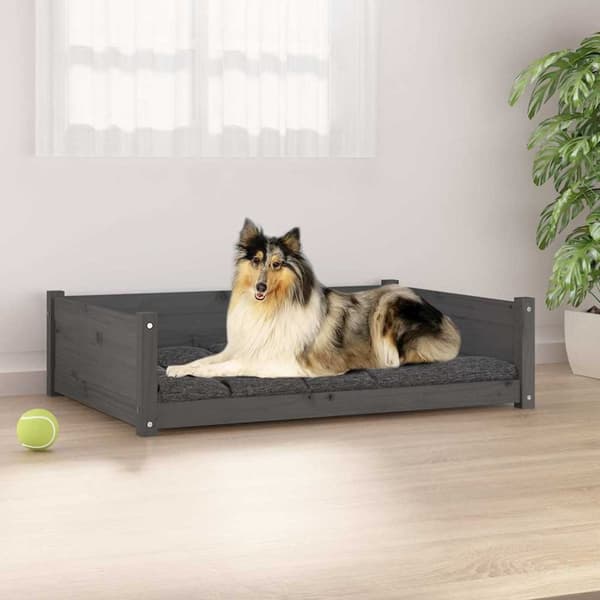 vidaXL Koiransänky harmaa 95,5x65,5x28 cm täysi mänty