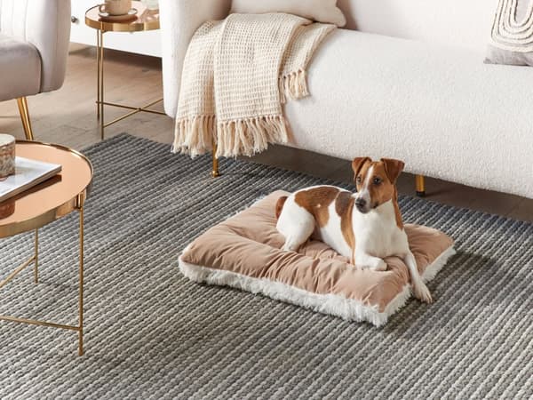 Dyreseng Beige Fløyel 60 x 45 cm Rektangulær Myk pute for hunder Dyr Moderne Hundeseng