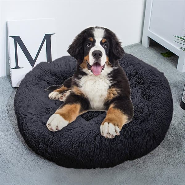 Hundsäng Hundkudde Kattsäng Fluffig plyschbädd för husdjur Djursäng hundbädd Kattbäddskudde hundsoffa Kattsoffa