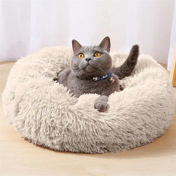 Hundsäng Hundkudde Kattsäng Fluffig plyschbädd för husdjur Djursäng hundbädd Kattbäddskudde hundsoffa Kattsoffa