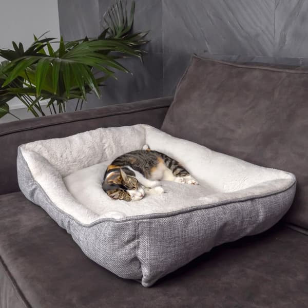 Hundsäng Hundkudde Kattsäng Fluffig plyschbädd för husdjur Djursäng hundbädd Kattbäddskudde hundsoffa Kattsoffa