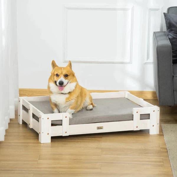 Rootz kæledyrsseng - Hundesofa - Højtstående kæledyrssofa - Med pude - Kattesofa - Hundesofa - Hundeseng - Hundesoveplads - Hvid/Grå - 90 x 60 x 20 cm