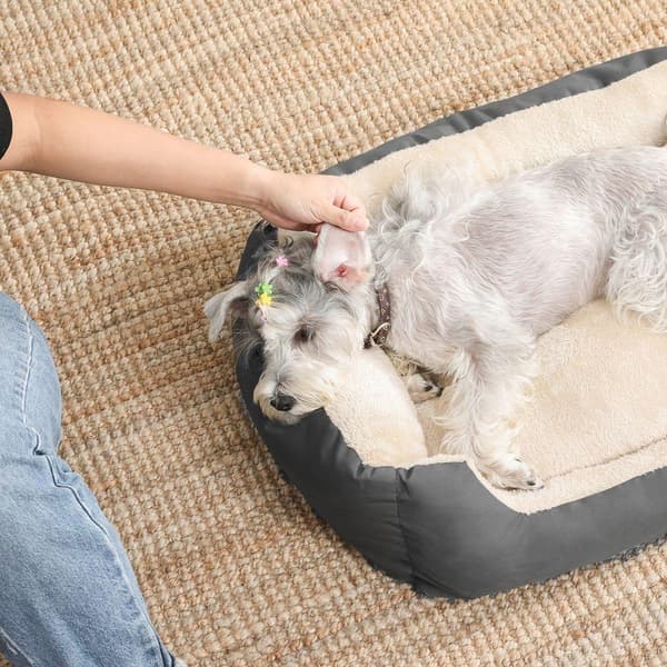 Rootz Hundeseng - Rund Hundeseng - Kæledyrsseng - Katteseng - Kæledyrsseng - Med vendbar pude - Grå - 65 x 55 x 20 cm