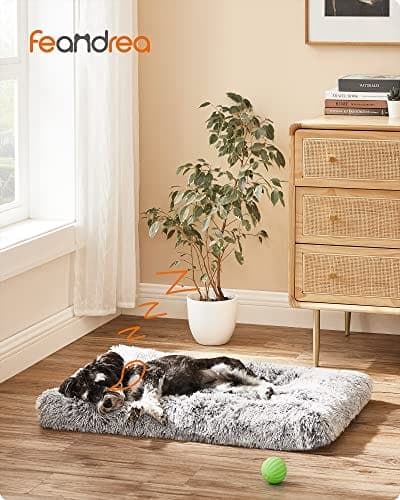 Feandrea hundeseng, hundepude, fluffy hundemåtte, lang plys, 80x50 cm, lysegrå