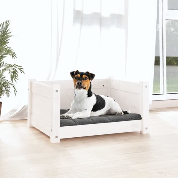 hundeseng 55,5x45,5x28 cm massivt fyrretræ hvid