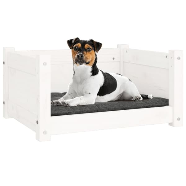 hundeseng 55,5x45,5x28 cm massivt fyrretræ hvid