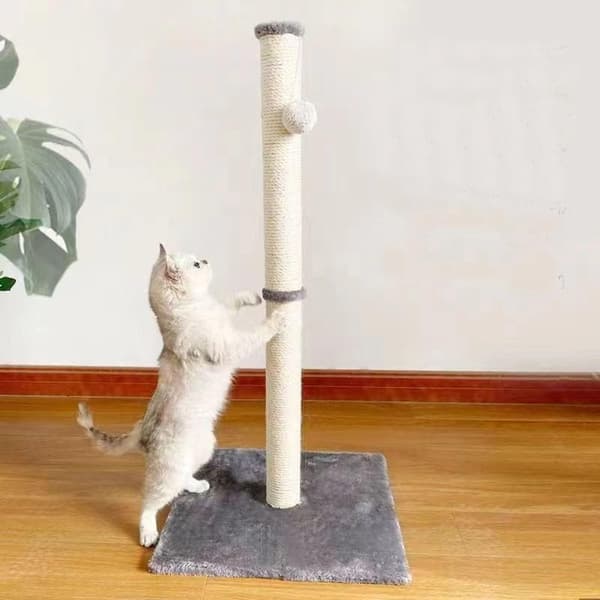 Klöspelare för katt - Katträd -
