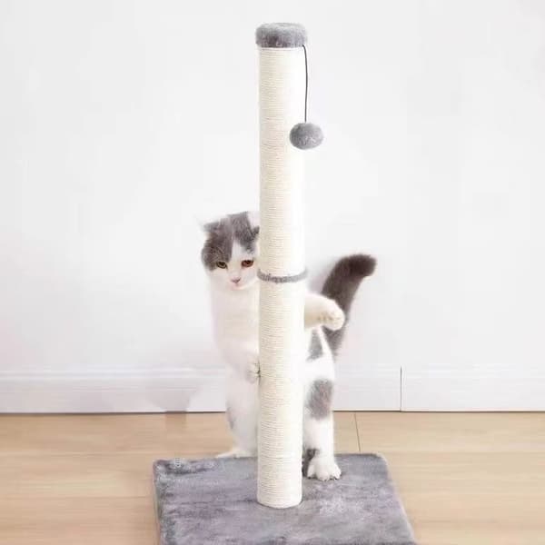 Klöspelare för katt - Katträd -