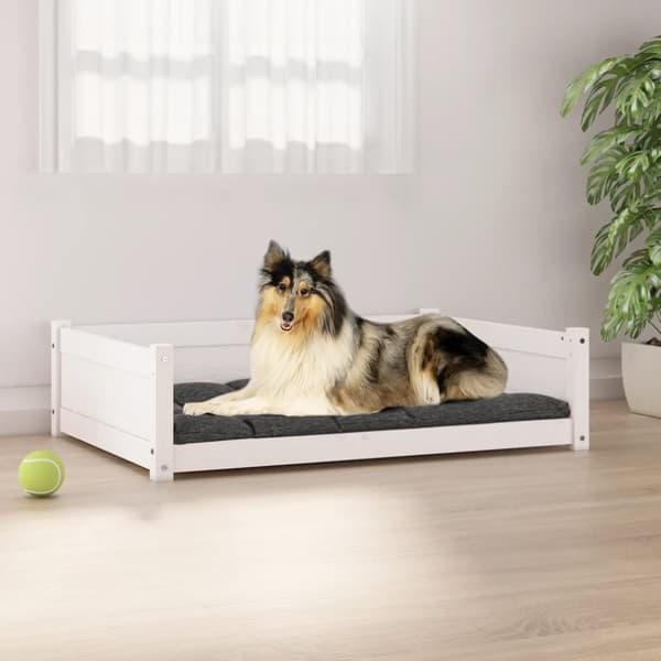 vidaXL Koiransänky valkoinen 95,5x65,5x28 cm täysi mänty - Koiranpedit
