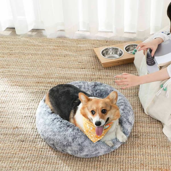 FEANDREA Always by Your Side Hundepude - Donut-formet hundeseng - Memory Foam Hundesofa - Plys kæledyrsseng - Komfortabel og holdbar - 70 cm x 20 cm -