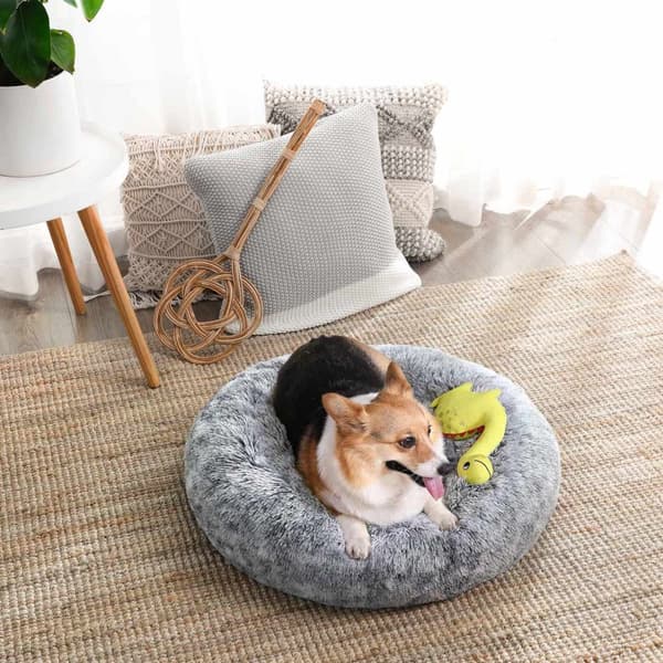 FEANDREA Always by Your Side Hundepude - Donut-formet hundeseng - Memory Foam Hundesofa - Plys kæledyrsseng - Komfortabel og holdbar - 70 cm x 20 cm -