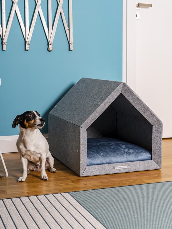 Rexproduct Pethome 2.0 modern ekologisk hundkoja ljusgrå med färgglad madrass
