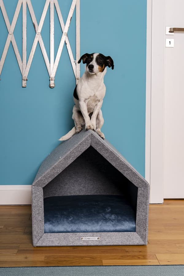 Rexproduct Pethome 2.0 modern ekologisk hundkoja ljusgrå med färgglad madrass