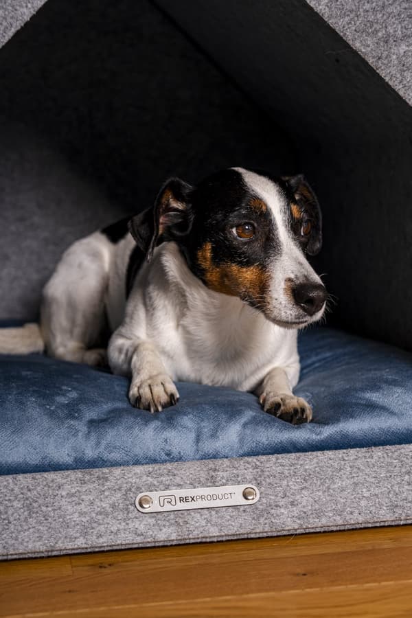 Rexproduct Pethome 2.0 modern ekologisk hundkoja ljusgrå med färgglad madrass