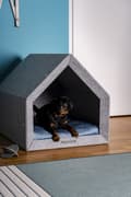 Miniatyrbild 2 av 7: Rexproduct Pethome 2.0 modern ekologisk hundkoja ljusgrå med färgglad madrass