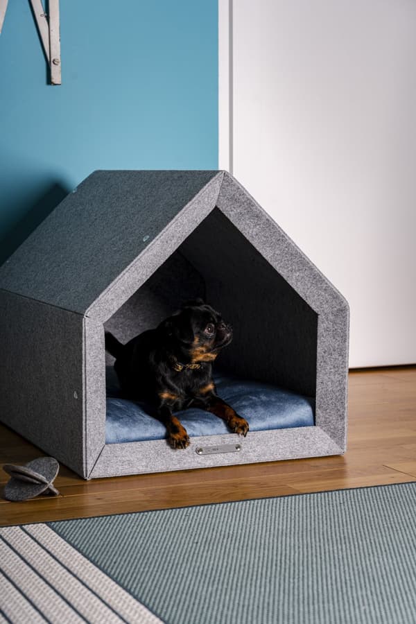 Rexproduct Pethome 2.0 modern ekologisk hundkoja ljusgrå med färgglad madrass