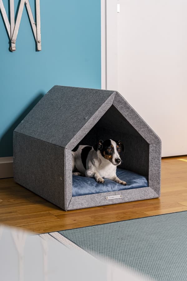 Rexproduct Pethome 2.0 modern ekologisk hundkoja ljusgrå med färgglad madrass