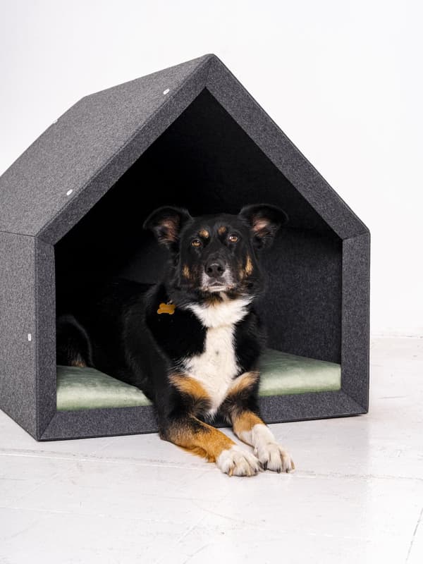 Rexproduct Pethome 2.0 moderne økologisk hundegård lysegrå med farverig madras