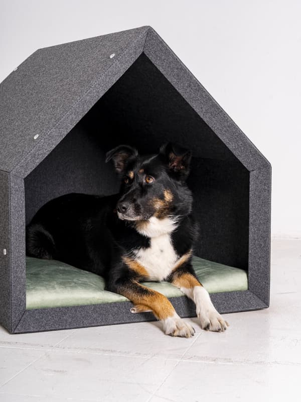 Rexproduct Pethome 2.0 moderne økologisk hundegård lysegrå med farverig madras