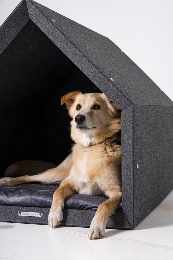 Rexproduct Pethome 2.0 moderne økologisk hundegård lysegrå med farverig madras