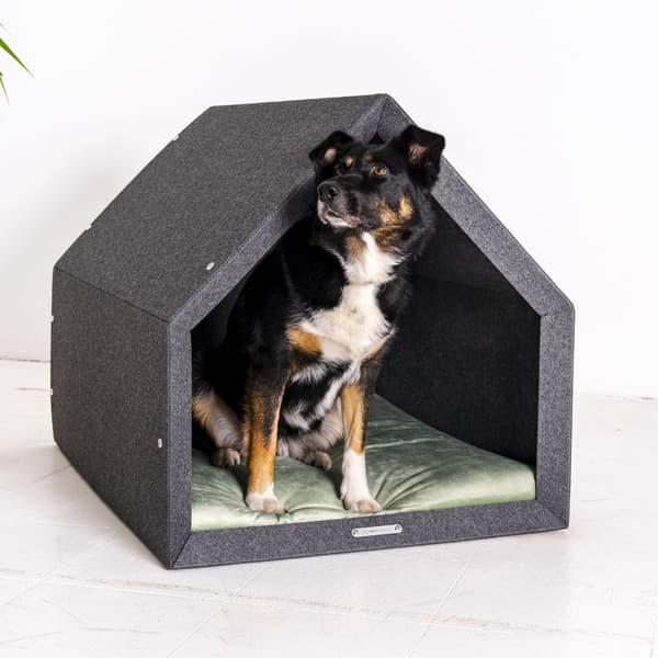 Rexproduct Pethome 2.0 moderne økologisk hundegård lysegrå med farverig madras