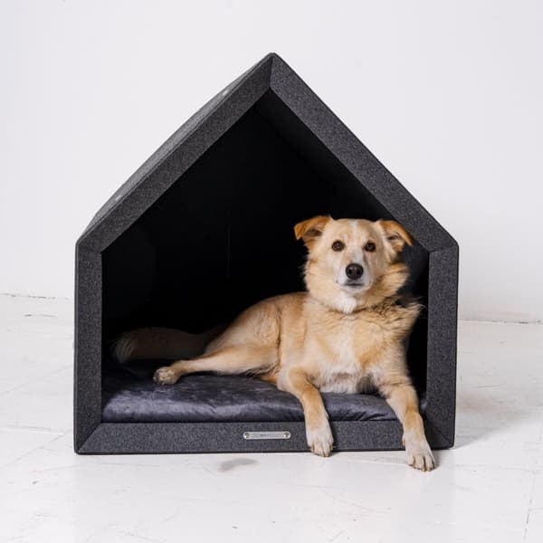 Rexproduct Pethome 2.0 moderne økologisk hundegård lysegrå med farverig madras