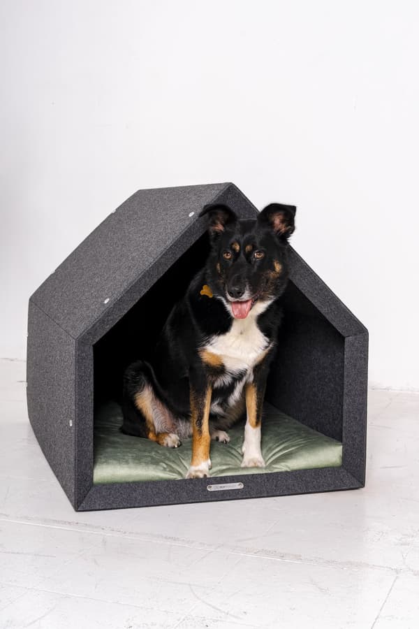 Rexproduct Pethome 2.0 moderne økologisk hundegård lysegrå med farverig madras
