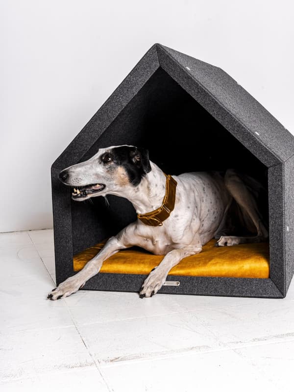 Rexproduct Pethome 2.0 moderne økologisk hundegård lysegrå med farverig madras