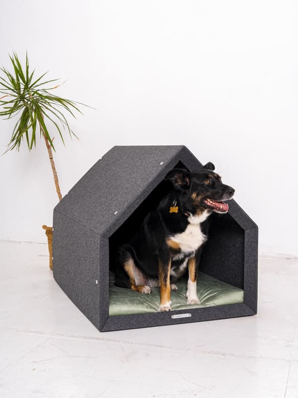 Rexproduct Pethome 2.0 modern ekologisk hundkoja ljusgrå med färgglad madrass