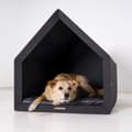 Miniatyrbild 5 av 7: Rexproduct Pethome 2.0 modern ekologisk hundkoja ljusgrå med färgglad madrass