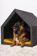 Miniatyrbild 7 av 7: Rexproduct Pethome 2.0 modern ekologisk hundkoja ljusgrå med färgglad madrass