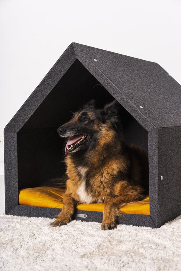 Rexproduct Pethome 2.0 modern ekologisk hundkoja ljusgrå med färgglad madrass