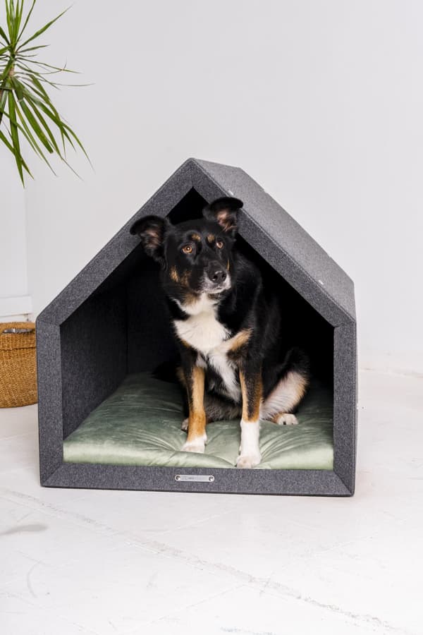 Rexproduct Pethome 2.0 moderne økologisk hundegård lysegrå med farverig madras
