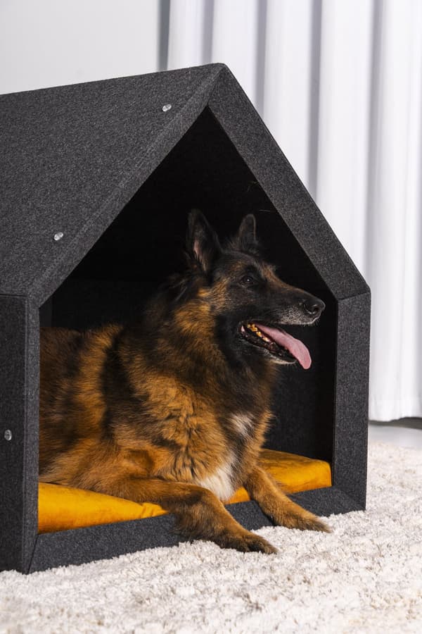 Rexproduct Pethome 2.0 moderne økologisk hundegård lysegrå med farverig madras